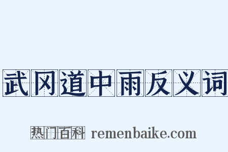 武冈道中雨反义词是什么意思的图片